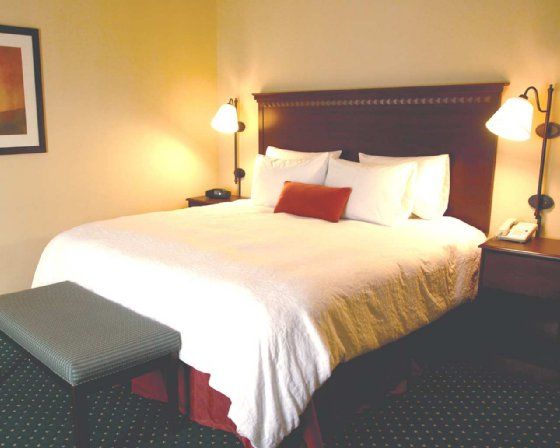 Quality Inn & Suites Bel Air I-95 Exit 77A Номер фото